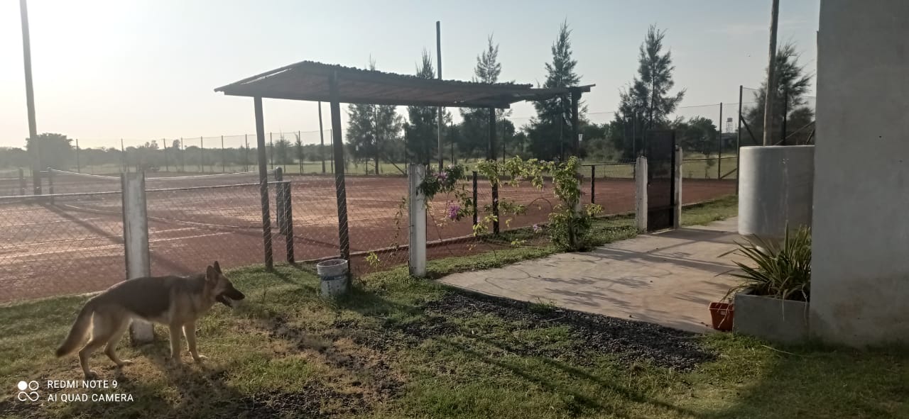 Las Palmas 90